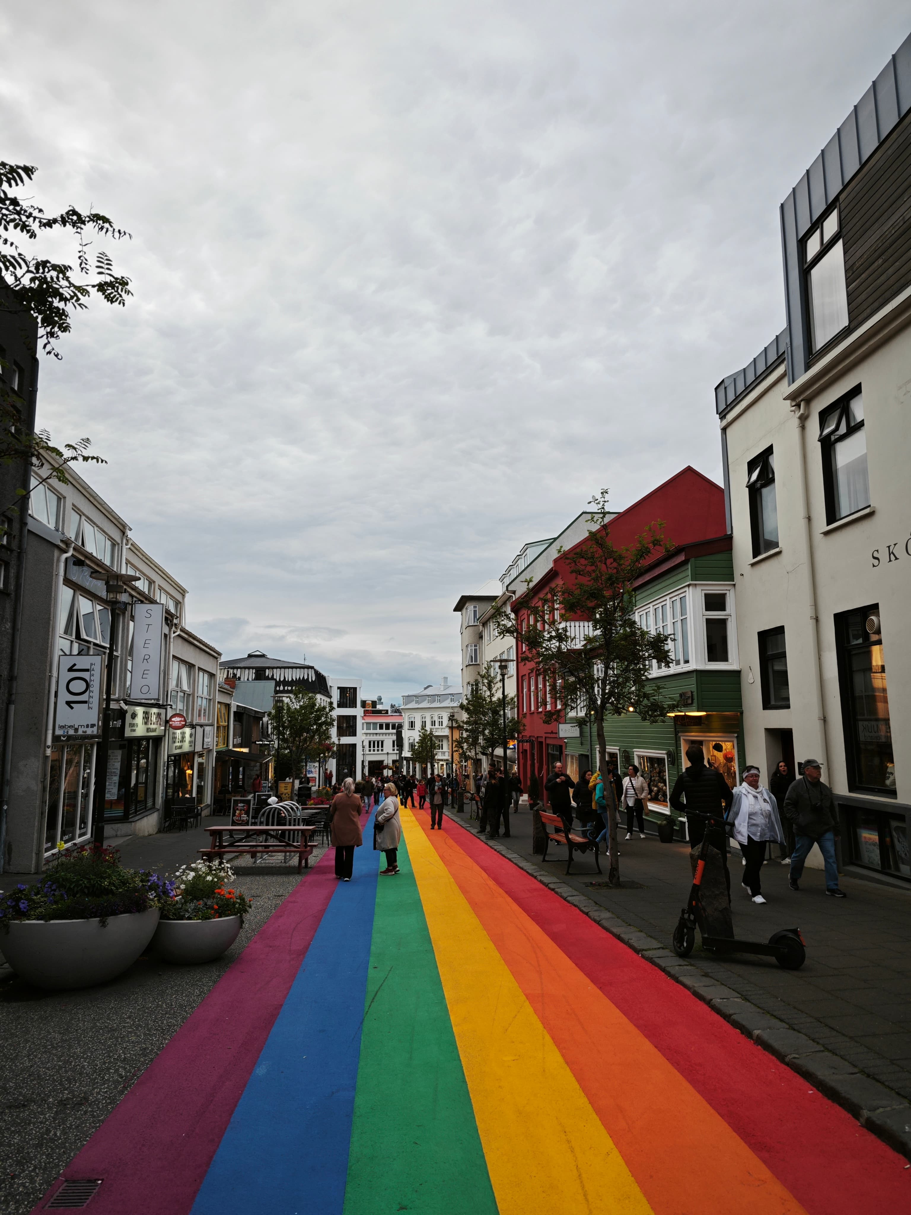 Φάλαινες, Ρέικιαβικ & Blue Lagoon